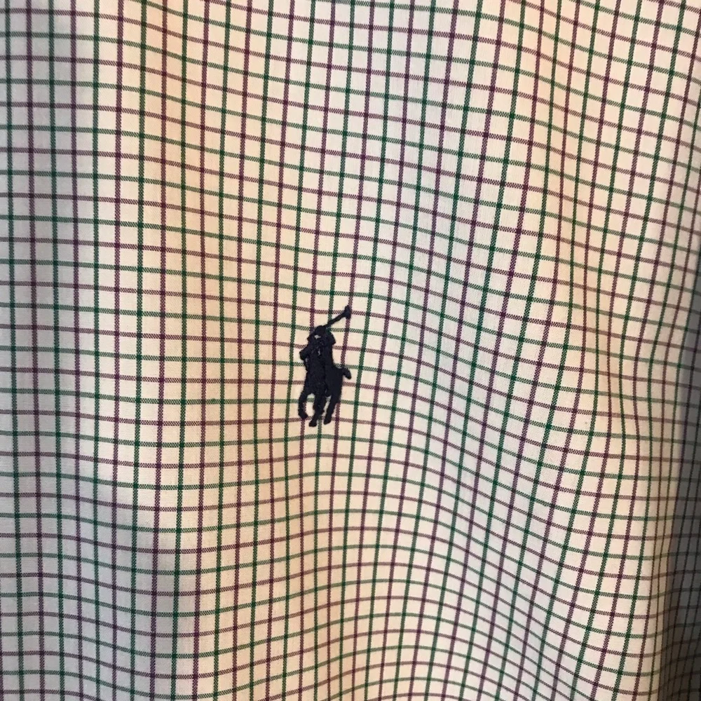 Polo by‎ Ralph Lauren Men’s Alcott dress shirt